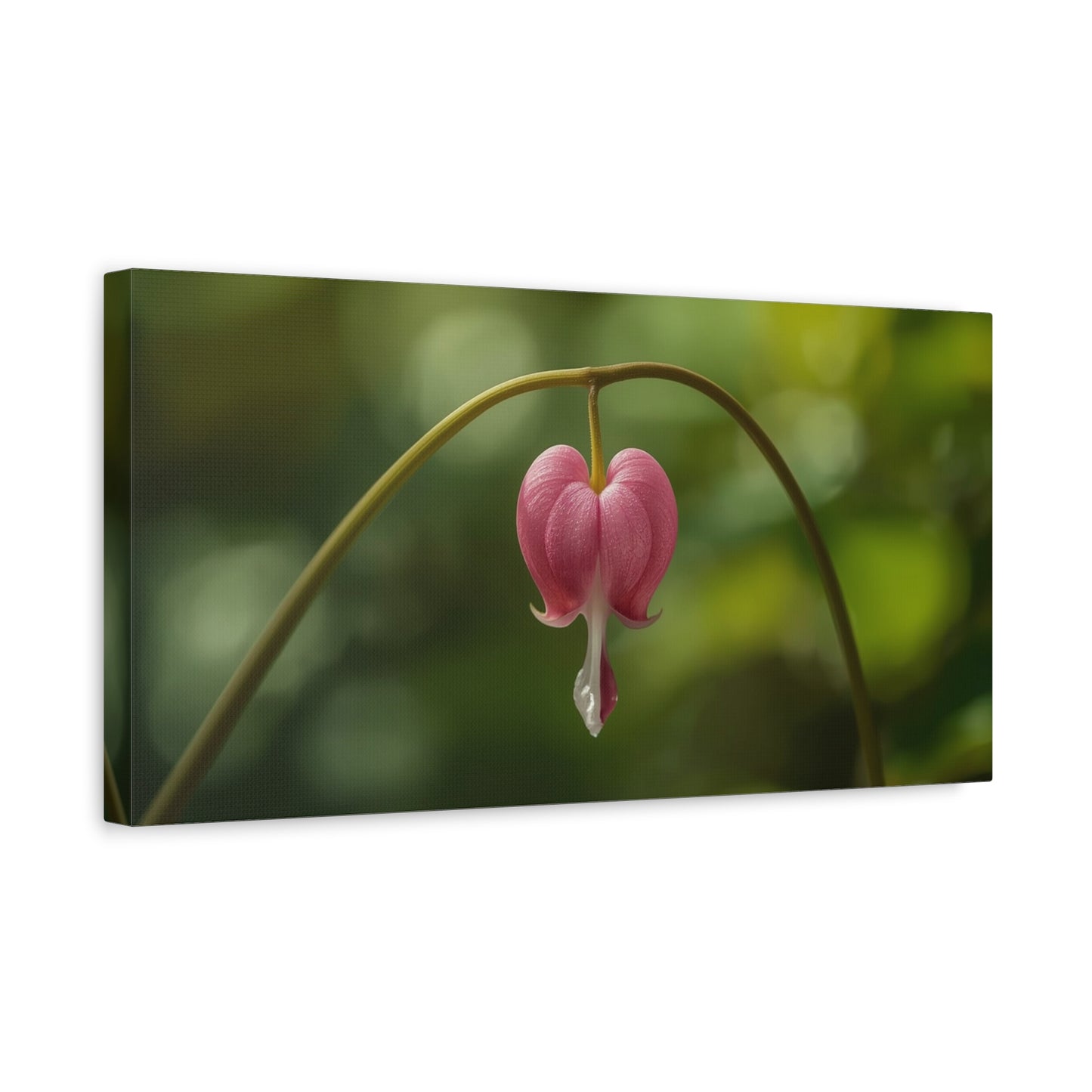 Bleeding Heart Flower Canvas Wall Art - Botanical Floral Art Print, Pink Bloom, Soft Green Bokeh - Contemporary Nature Wall Decor - Bedroom Home Decoration, Spa Wall Accent - Ready to Hang