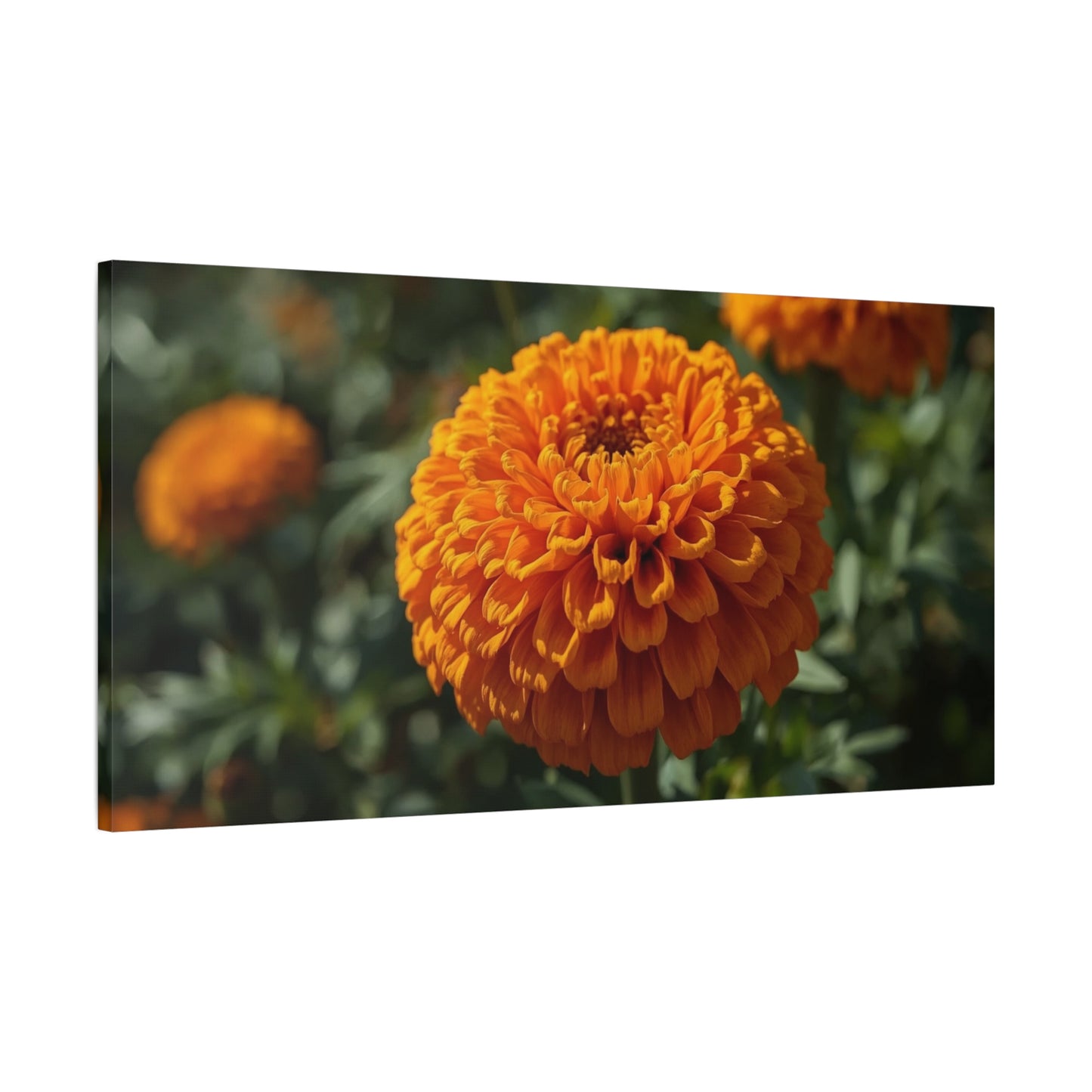 Orange Marigold Flower Canvas Wall Art - Botanical Floral Close Up Art Print - Warm Nature Home Decor, Matte Canvas Print - Bedroom Wall Accent, Living Room Decoration, Spa Style - Ready to Hang