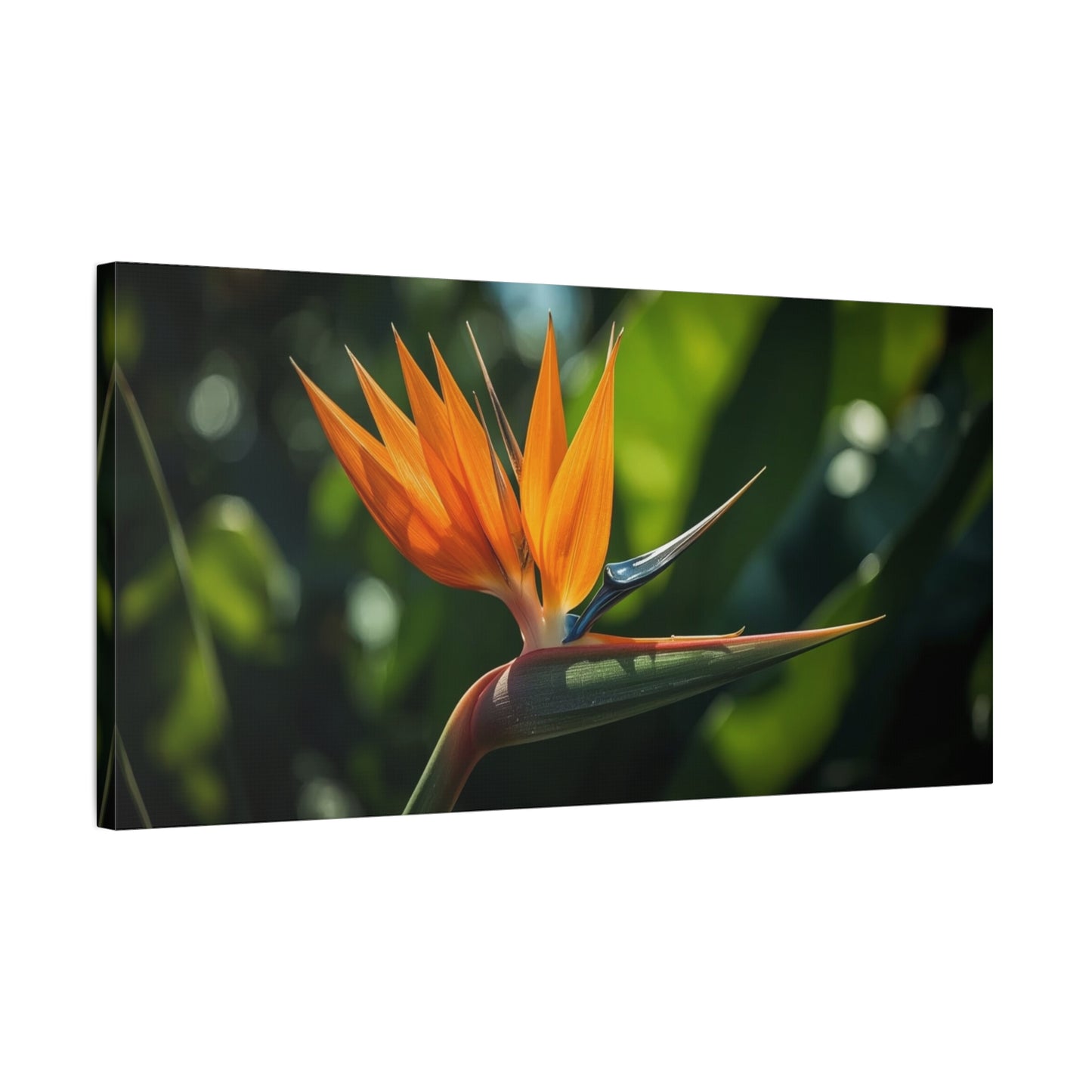 Bird Of Paradise Canvas Wall Art - Tropical Floral Botanical Art Print - Matte Cotton Art Print, Contemporary Nature Wall Decor - Living Room Bedroom Office Accent - Bedroom Home Decoration