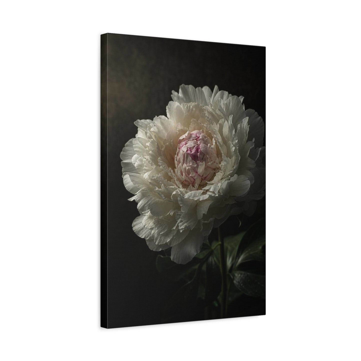 White Peony Canvas Wall Art - Moody Floral Art Print, Dark Botanical Canvas, Matte Finish - Vintage Style, Bedroom Wall Decor, Living Room Home Decoration Accent - Bedroom Home Decoration