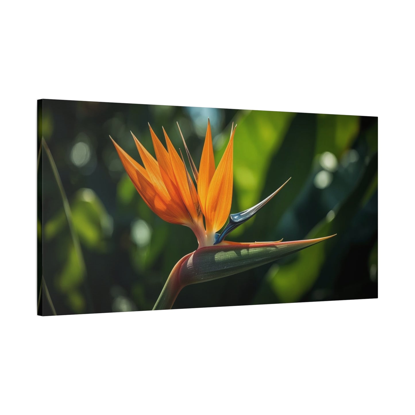 Bird Of Paradise Canvas Wall Art - Tropical Floral Botanical Art Print - Matte Cotton Art Print, Contemporary Nature Wall Decor - Living Room Bedroom Office Accent - Bedroom Home Decoration