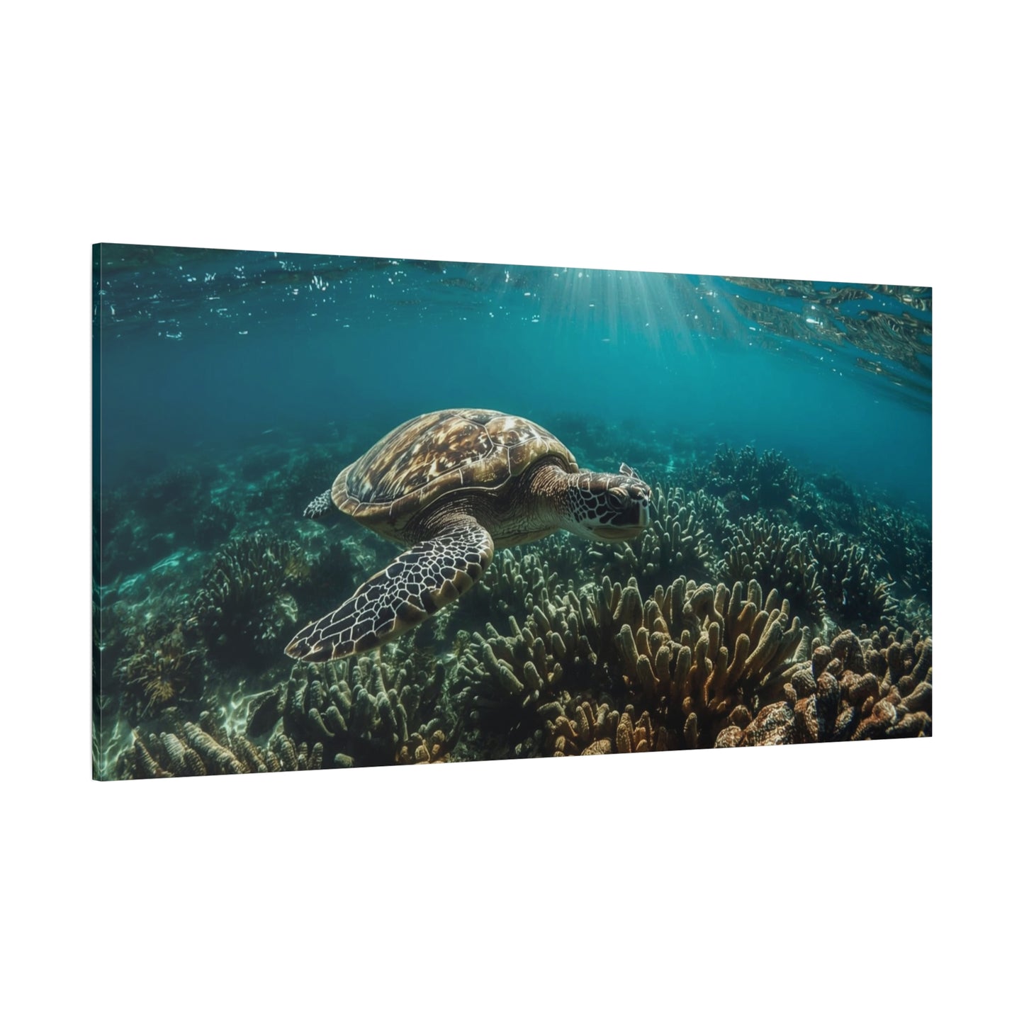 Sea Turtle Canvas Wall Art - Underwater Ocean Reef Art Print, Sunlit Blue Seascape, Coastal Wall Decor, Matte Finish Canvas Print, Living Room Decoration, Bedroom Home Accent - Ready to Hang