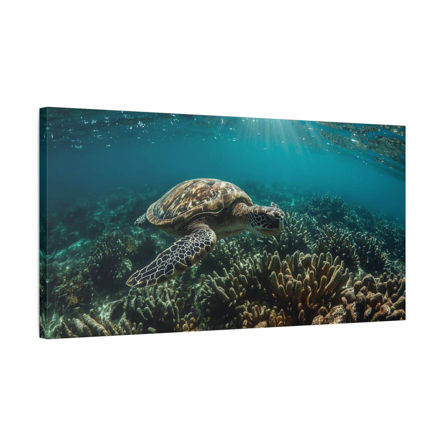 Sea Turtle Canvas Wall Art - Underwater Ocean Reef Art Print, Sunlit Blue Seascape, Coastal Wall Decor, Matte Finish Canvas Print, Living Room Decoration, Bedroom Home Accent - Ready to Hang