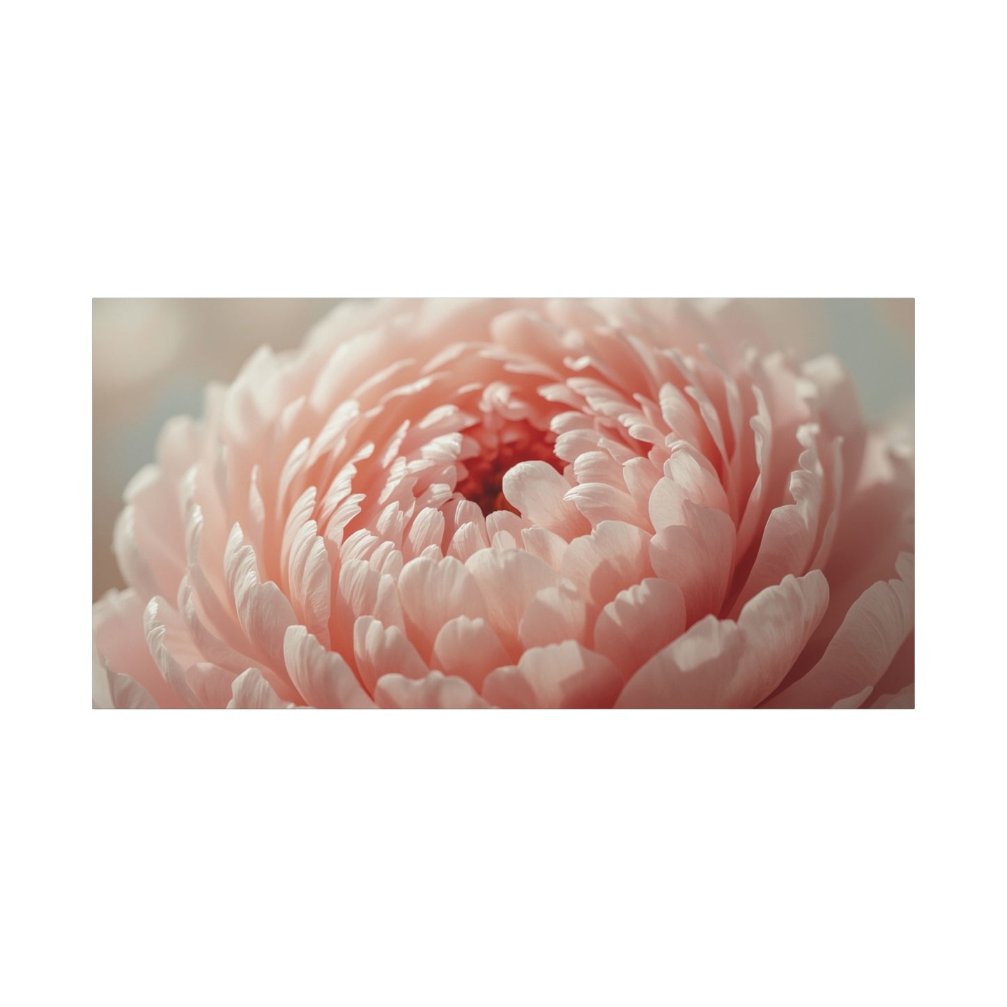 Blush Pink Peony Canvas Wall Art - Soft Floral Close Up, Botanical Home Decoration - Matte Cotton Print, Romantic Traditional Style - Bedroom Wall Decor, Living Room Accent - Bedroom Home Decoration