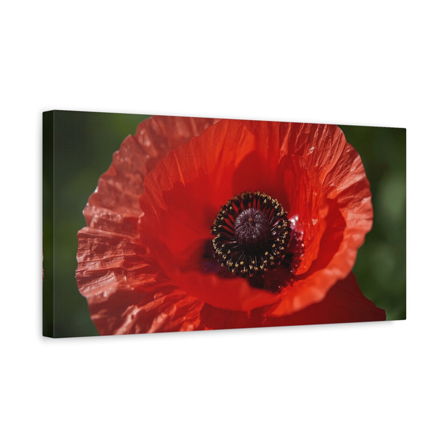 Red Poppy Flower Canvas Wall Art - Macro Botanical Art Print, Floral Nature Decor - Matte Cotton Canvas Print - Contemporary Style, Living Room Wall Decor, Bedroom Home Accent - Ready to Hang