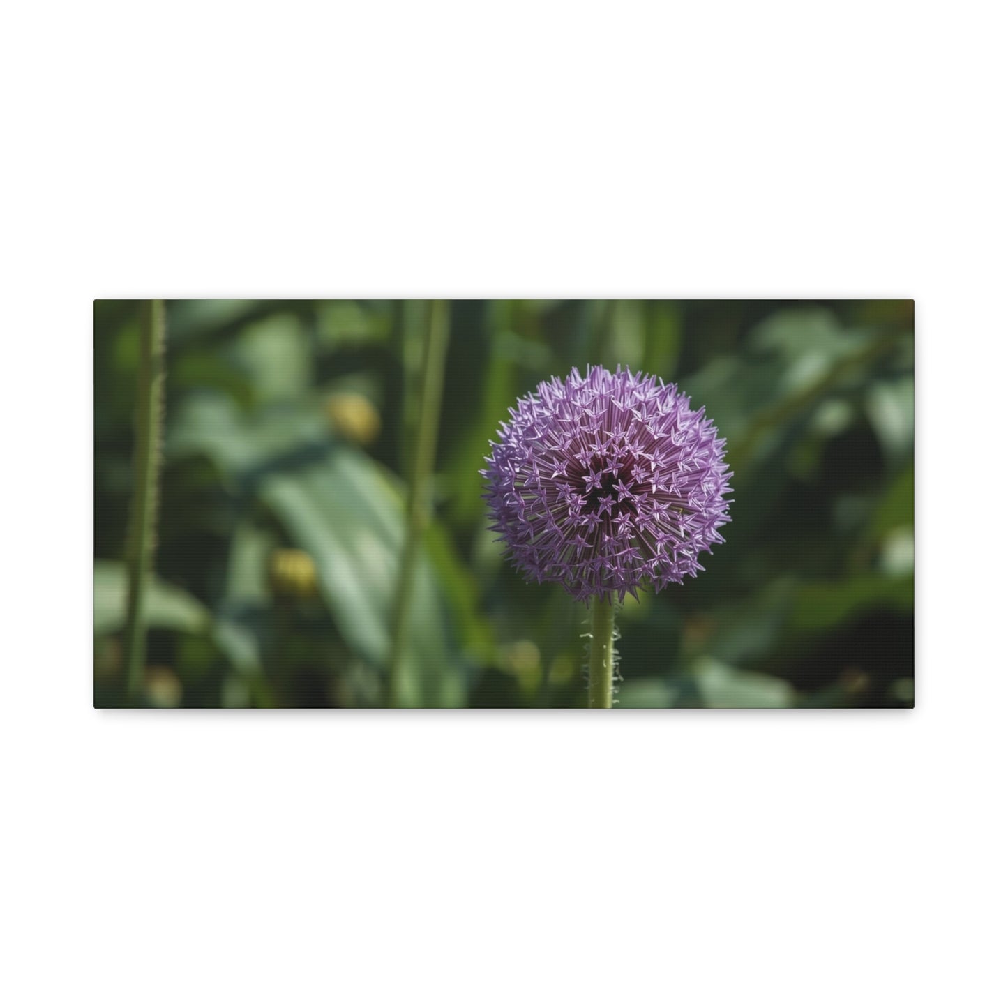 Purple Allium Flower Canvas Wall Art - Botanical Art Print, Soft Focus Garden Bloom - Matte Cotton Art Print - Contemporary Floral Style - Bedroom Wall Decor, Spa Wall Accent - Ready to Hang