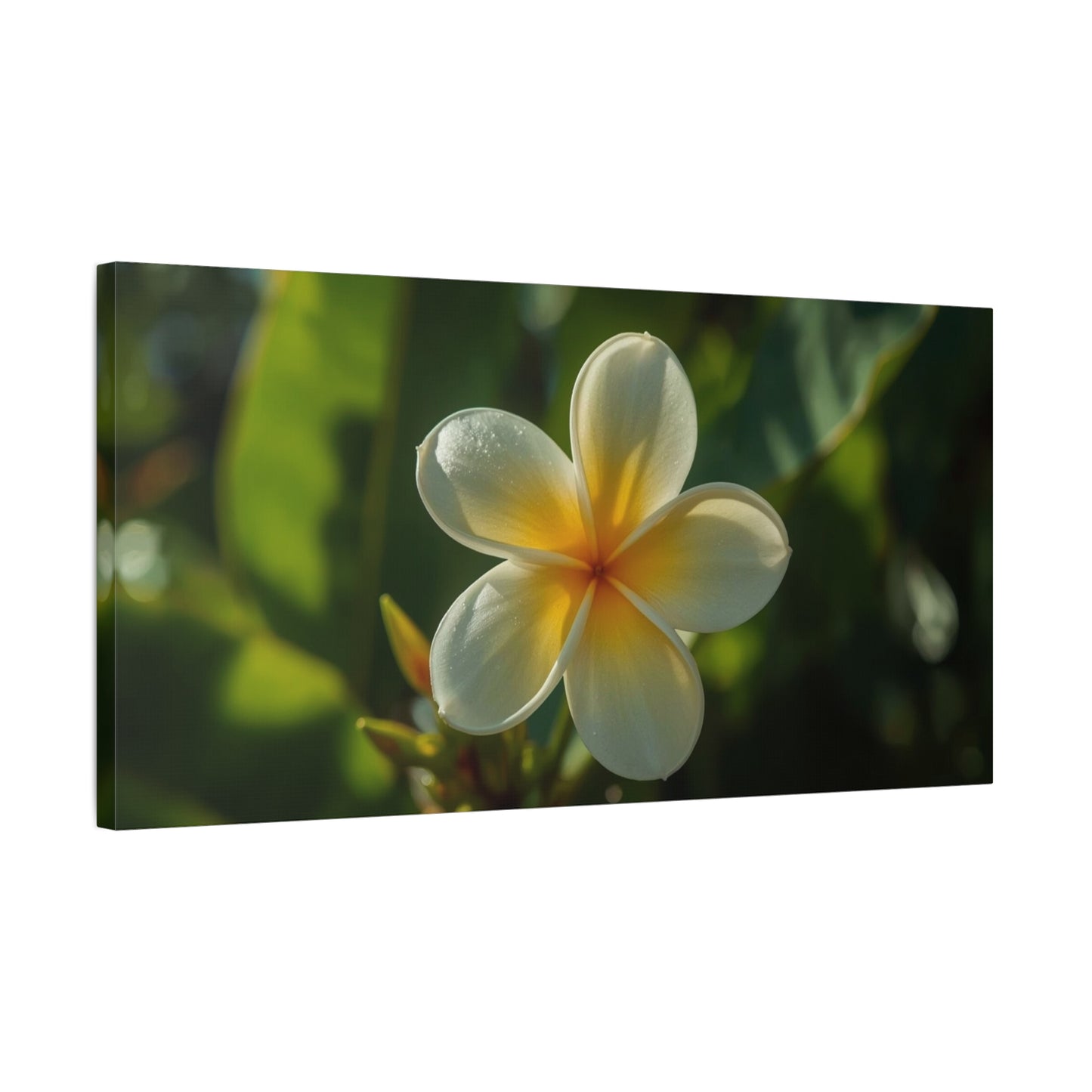 Plumeria Flower Canvas Wall Art - Tropical Floral Art Print, Soft Golden Light - Matte Cotton Art Print - Coastal Style, Bedroom Decoration, Bathroom Accent, Spa Inspired Decor - Ready to Hang