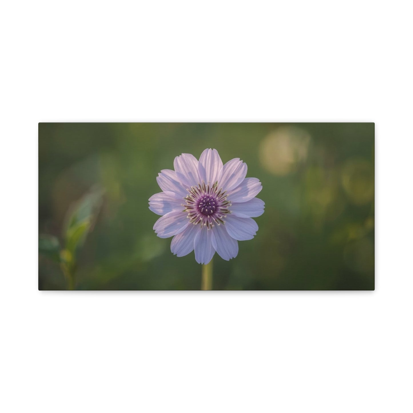 Purple Cosmos Flower Canvas Wall Art - Botanical Floral Art Print, Soft Green Bokeh Background - Matte Cotton Canvas - Contemporary Style, Bedroom Wall Decor, Living Room Accent