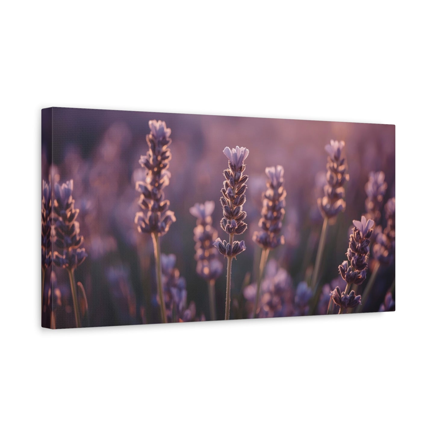 Lavender Field Canvas Art Print - Soft Purple Botanical Art Print, Cotton Matte Decor - Serene Bedroom Accent, Living Room Decoration, Spa Style Interior, Office Display - Living Room Wall Decor