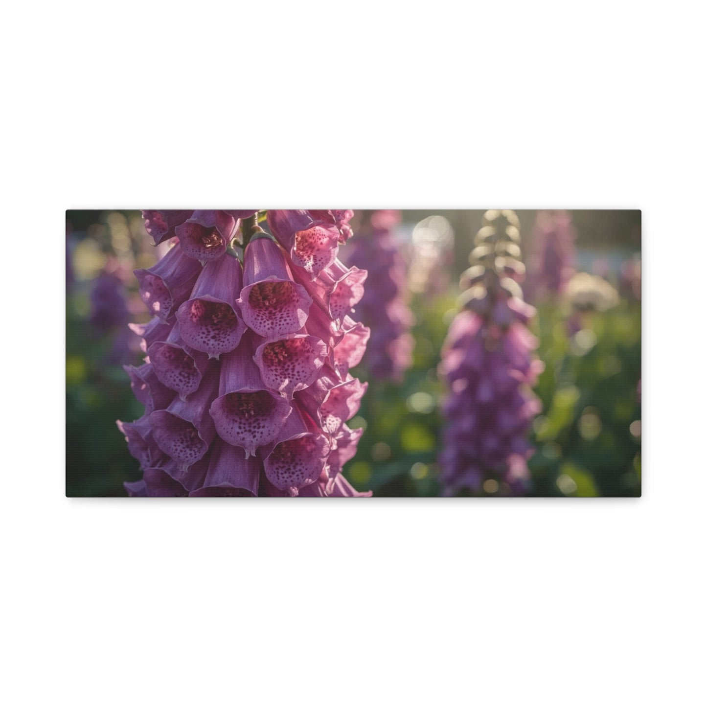 Purple Foxglove Flower Canvas Wall Art - Botanical Floral Art Print, Soft Golden Light, Matte Finish Decor - Bedroom Wall Hanging, Living Room Accent, Spa Style Interior Design - Ready to Hang