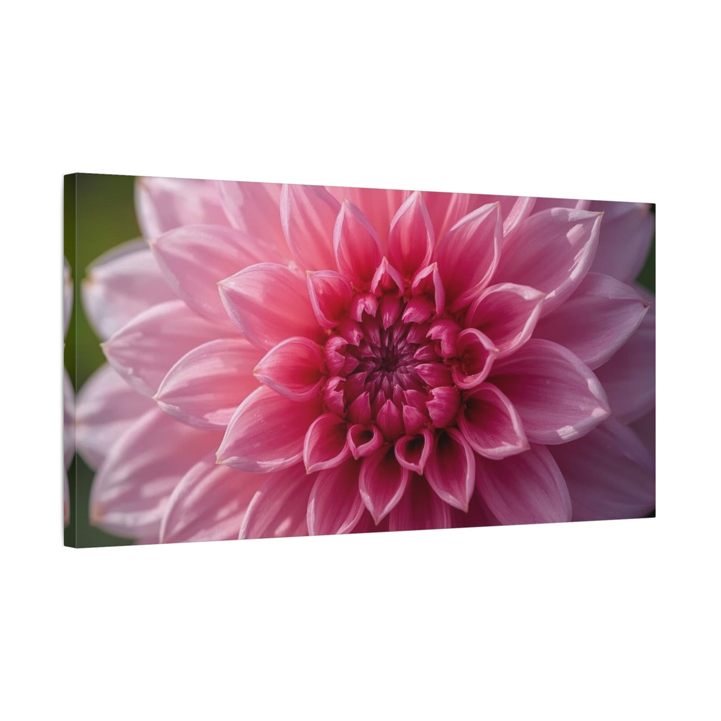 Pink Dahlia Canvas Wall Art - Floral Close Up Bloom, Botanical Wall Decor - Soft Focus Cotton Print - Contemporary Style, Bedroom Home Decoration, Bathroom Accent - Bedroom Home Decoration