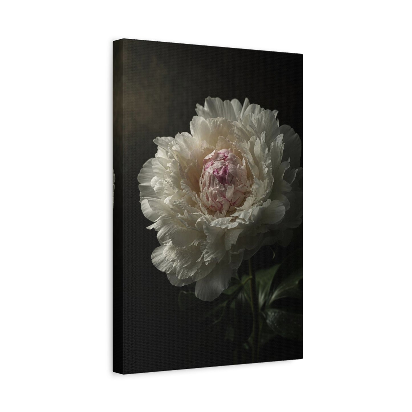 White Peony Canvas Wall Art - Moody Floral Art Print, Dark Botanical Canvas, Matte Finish - Vintage Style, Bedroom Wall Decor, Living Room Home Decoration Accent - Bedroom Home Decoration