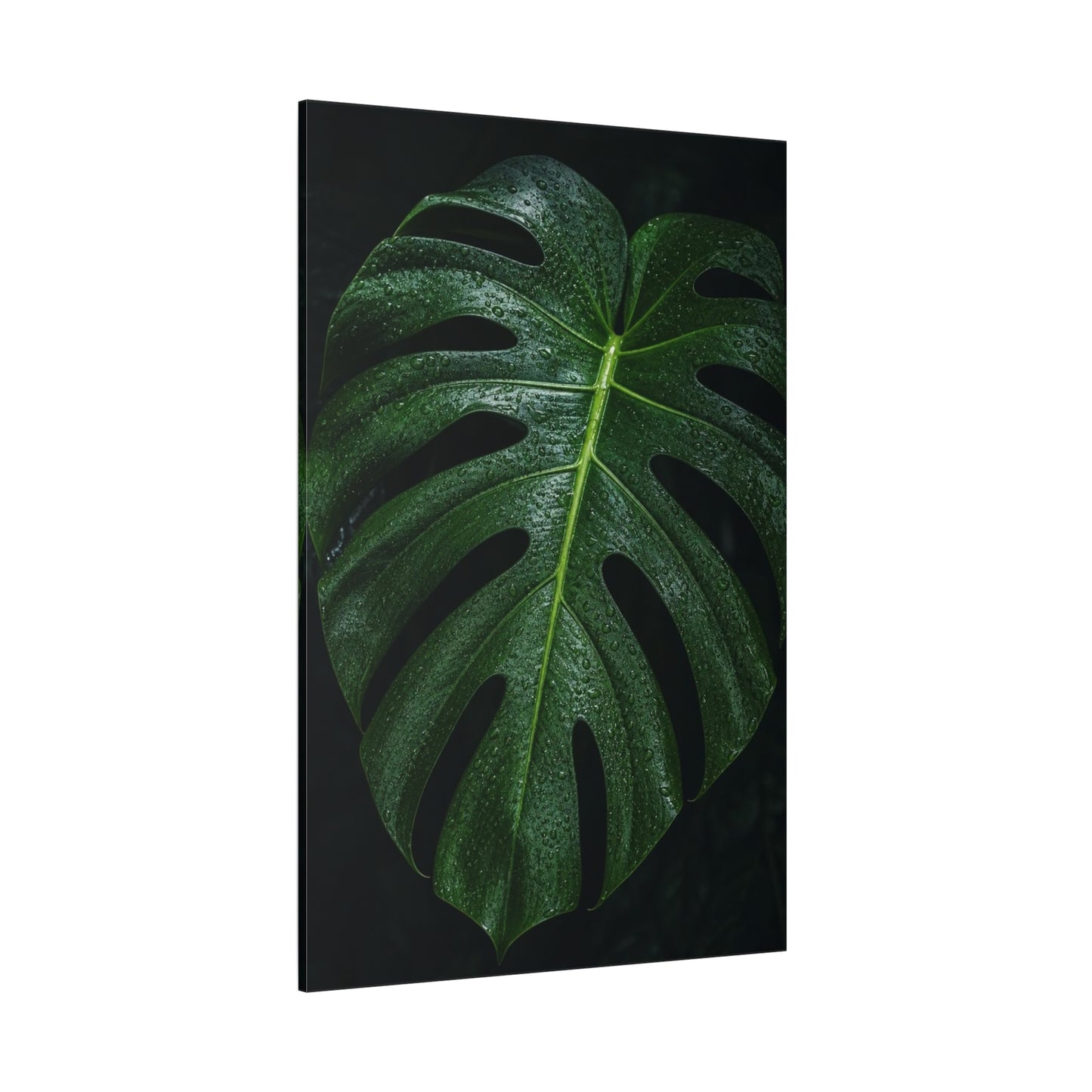 Monstera Leaf Canvas Wall Art - Botanical Art Print, Dark Green Tropical Foliage Print - Matte Cotton Canvas - Contemporary Minimalist Style - Living Room Wall Decor, Bedroom Home Accent