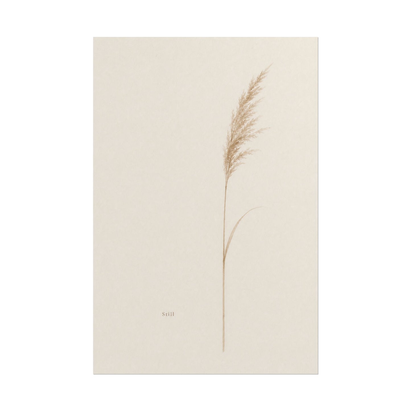 2026 05 30 Image 277 — Poster
