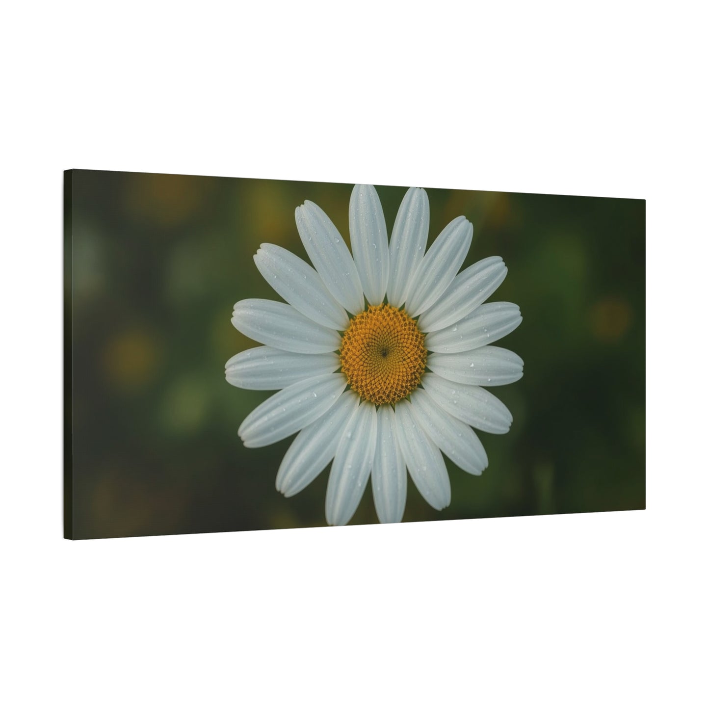 White Daisy Canvas Wall Art - Botanical Flower Close Up Art Print, Soft Green Background - Matte Cotton Art Print, Minimalist Floral Style - Bedroom Wall Decor Office Accent - Modern Farmhouse Style