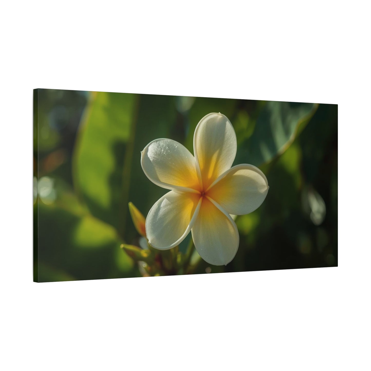 Plumeria Flower Canvas Wall Art - Tropical Floral Art Print, Soft Golden Light - Matte Cotton Art Print - Coastal Style, Bedroom Decoration, Bathroom Accent, Spa Inspired Decor - Ready to Hang