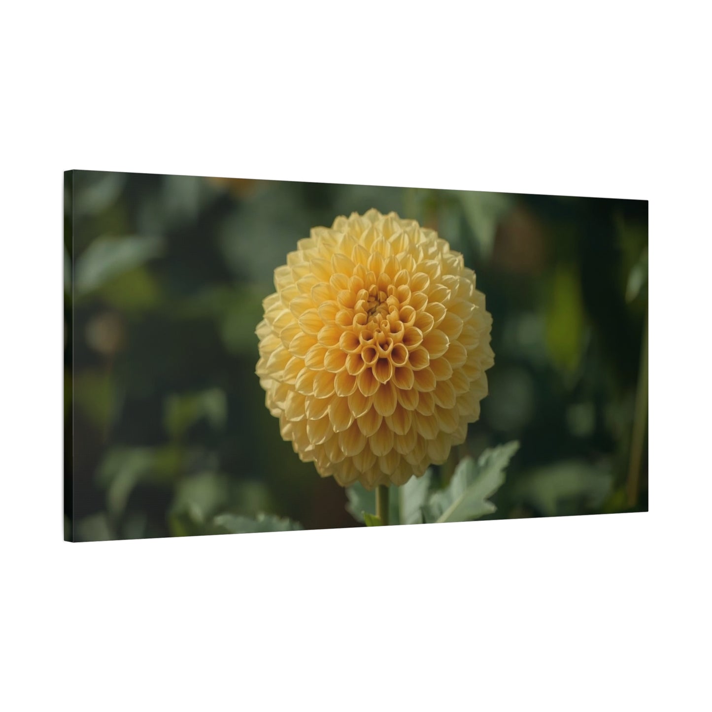 Yellow Dahlia Canvas Wall Art - Botanical Flower Close Up, Soft Focus Garden Art Print - Matte Canvas Print, Contemporary Style - Bedroom Wall Decor, Living Room Accent - Bedroom Home Decoration