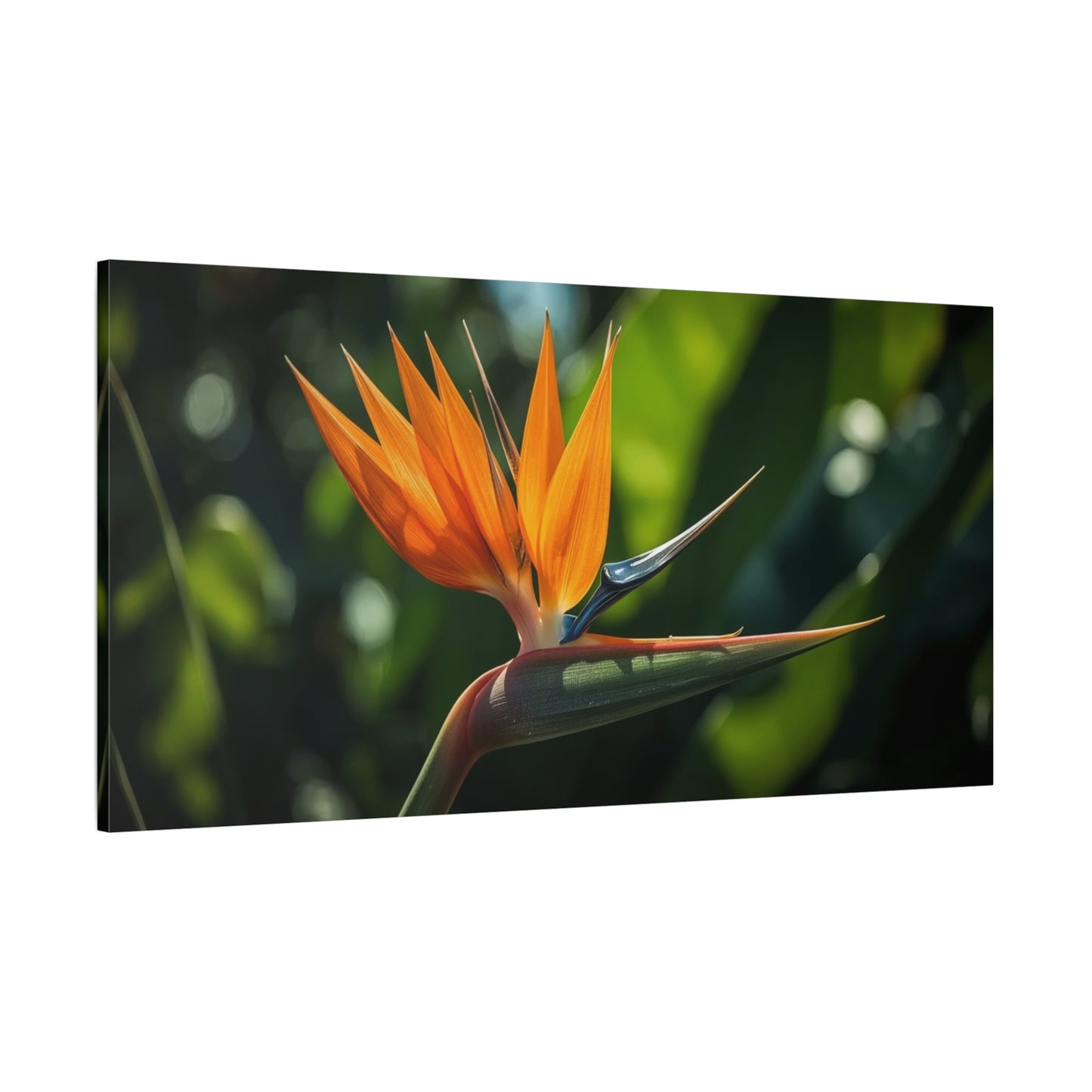 Bird Of Paradise Canvas Wall Art - Tropical Floral Botanical Art Print - Matte Cotton Art Print, Contemporary Nature Wall Decor - Living Room Bedroom Office Accent - Bedroom Home Decoration