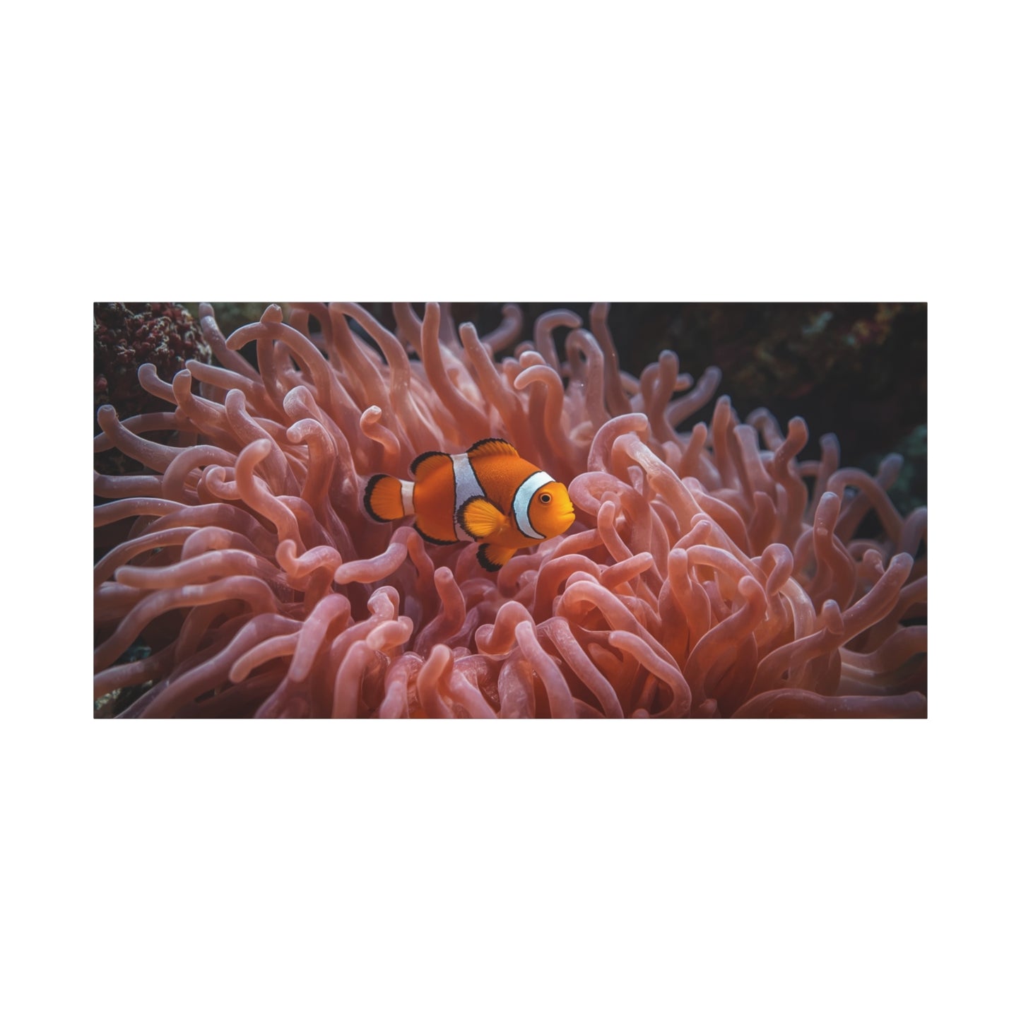 Clownfish Canvas Wall Art - Underwater Sea Anemone Art Print, Coastal Nautical Wall Decor - Matte Finish Stretched Canvas - Bedroom Decoration, Living Room Accent, Bathroom Art - Ready to Hang