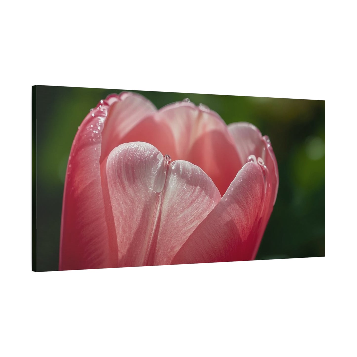 Pink Tulip Canvas Wall Art - Macro Floral Art Print, Dew Drop Petals - Matte Botanical Print - Contemporary Nature Style - Bedroom Wall Decor, Bathroom Home Accent - Bedroom Home Decoration