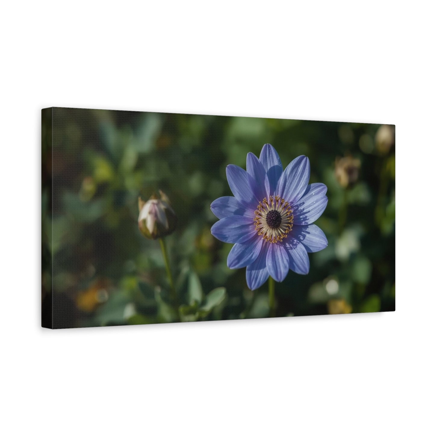 Blue Daisy Flower Canvas Wall Art - Botanical Floral Art Print, Soft Matte Garden Close Up - Contemporary Nature Style - Bedroom Wall Decor, Living Room Home Accent - Bedroom Home Decoration