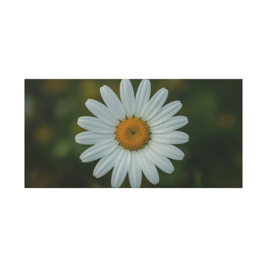 White Daisy Canvas Wall Art - Botanical Flower Close Up Art Print, Soft Green Background - Matte Cotton Art Print, Minimalist Floral Style - Bedroom Wall Decor Office Accent - Modern Farmhouse Style