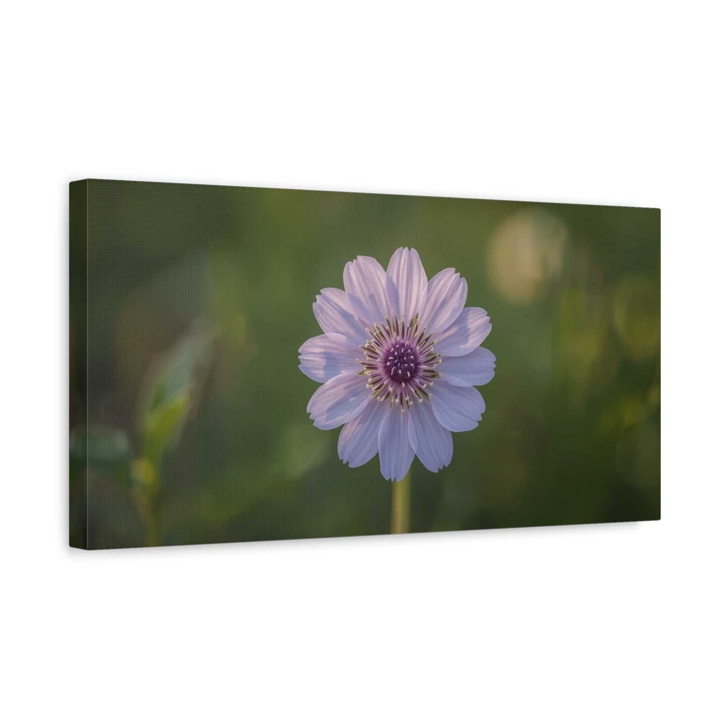 Purple Cosmos Flower Canvas Wall Art - Botanical Floral Art Print, Soft Green Bokeh Background - Matte Cotton Canvas - Contemporary Style, Bedroom Wall Decor, Living Room Accent