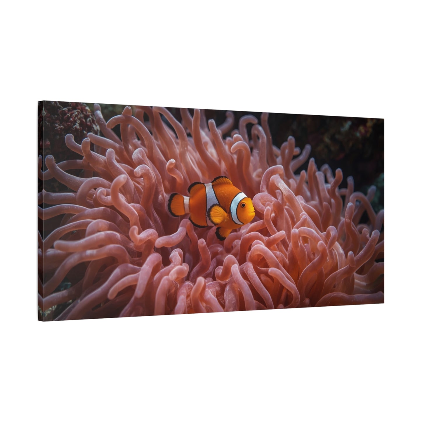 Clownfish Canvas Wall Art - Underwater Sea Anemone Art Print, Coastal Nautical Wall Decor - Matte Finish Stretched Canvas - Bedroom Decoration, Living Room Accent, Bathroom Art - Ready to Hang