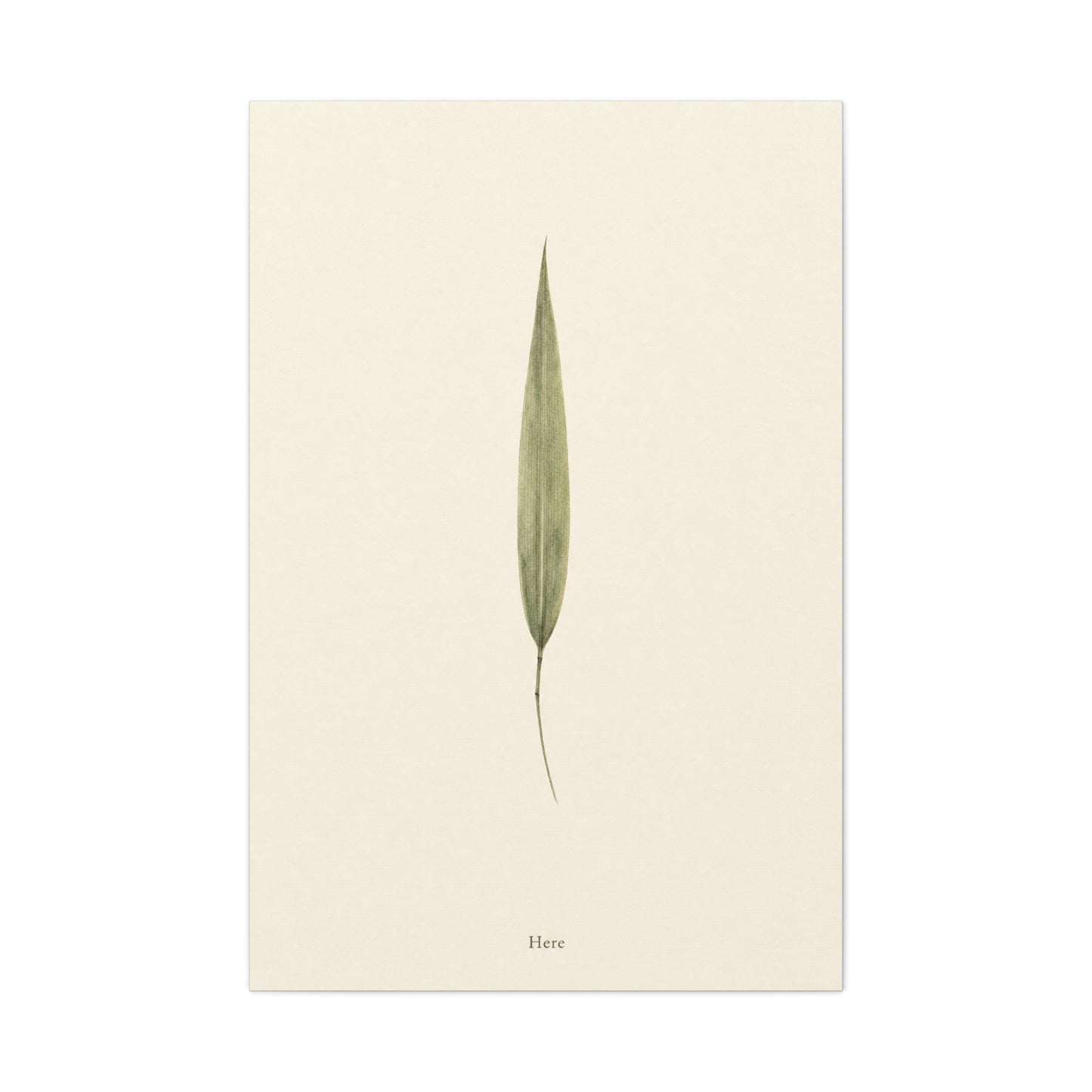"Here" Minimalist Botanical Canvas Wall Art - Single Green Leaf Print, Neutral Contemporary Nature Decor - Cotton Art Print For Bedroom Living Room, Japandi Home Decoration - Living Room Wall Decor