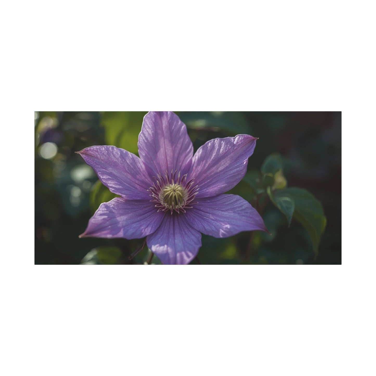 Purple Clematis Flower Canvas Wall Art - Botanical Floral Close Up Art Print - Matte Cotton Art Print - Contemporary Nature Wall Decor For Bedroom, Living Room, Bathroom Accent - Ready to Hang