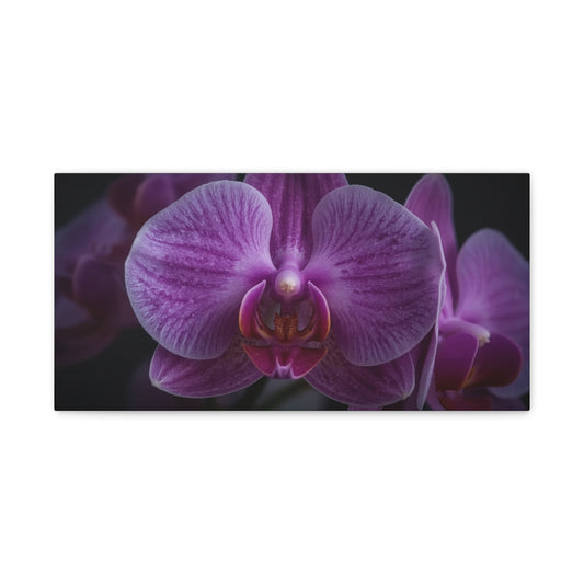 Purple Orchid Canvas Wall Art - Phalaenopsis Flower Macro Floral Print, Botanical Art Print, Cotton Canvas, Contemporary Style - Bedroom Wall Decor, Spa Wall Accent - Bedroom Home Decoration