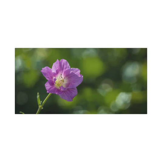 Purple Wildflower Canvas Wall Art - Botanical Floral Close Up Art Print - Soft Green Bokeh Background - Contemporary Nature Decor - Bedroom Wall Accent, Living Room Decoration - Ready to Hang