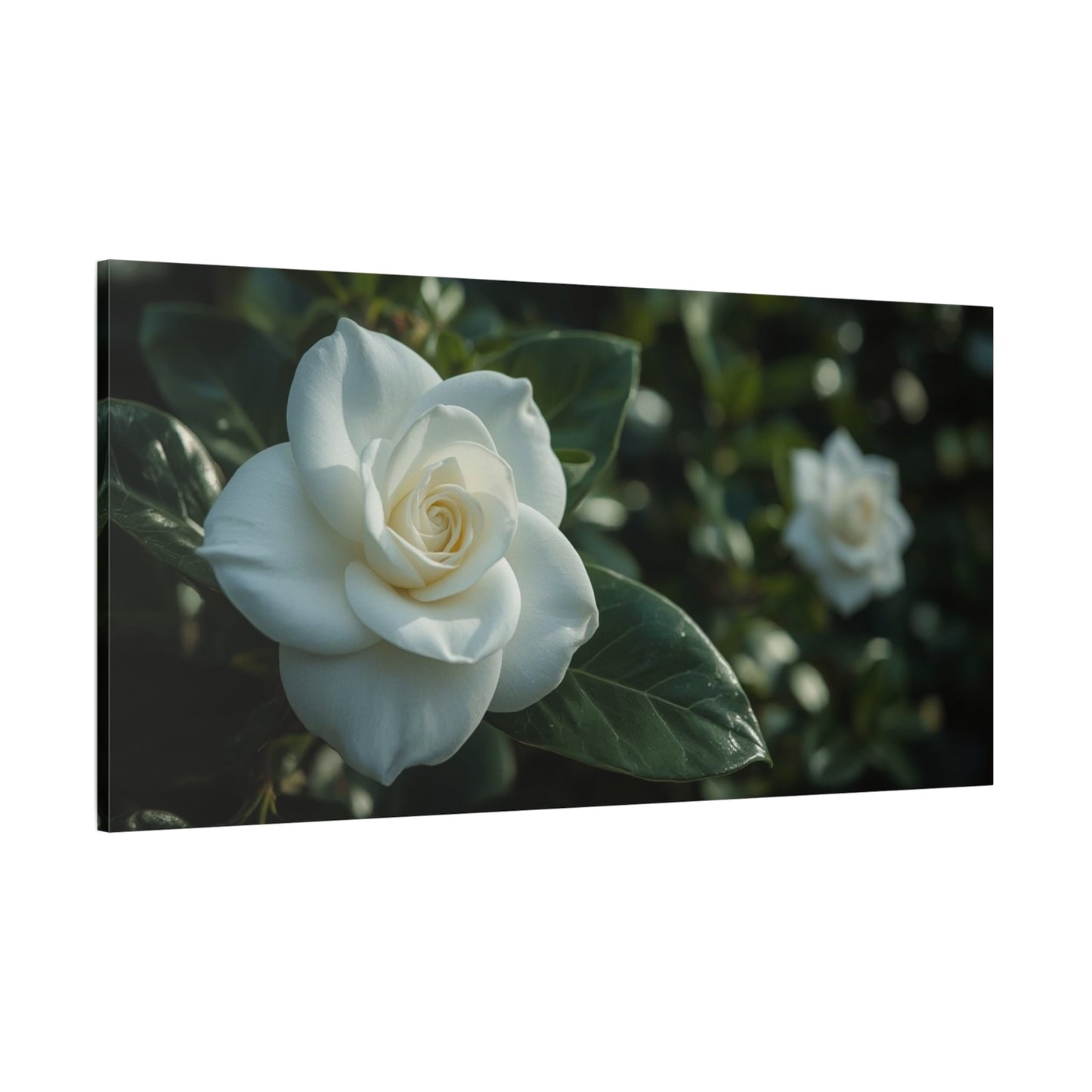 White Gardenia Canvas Wall Art - Botanical Floral Art Print, Soft Green Leaves, Matte Canvas Print, Traditional Style, Bedroom Wall Decor, Living Room Home Decoration - Bedroom Home Decoration