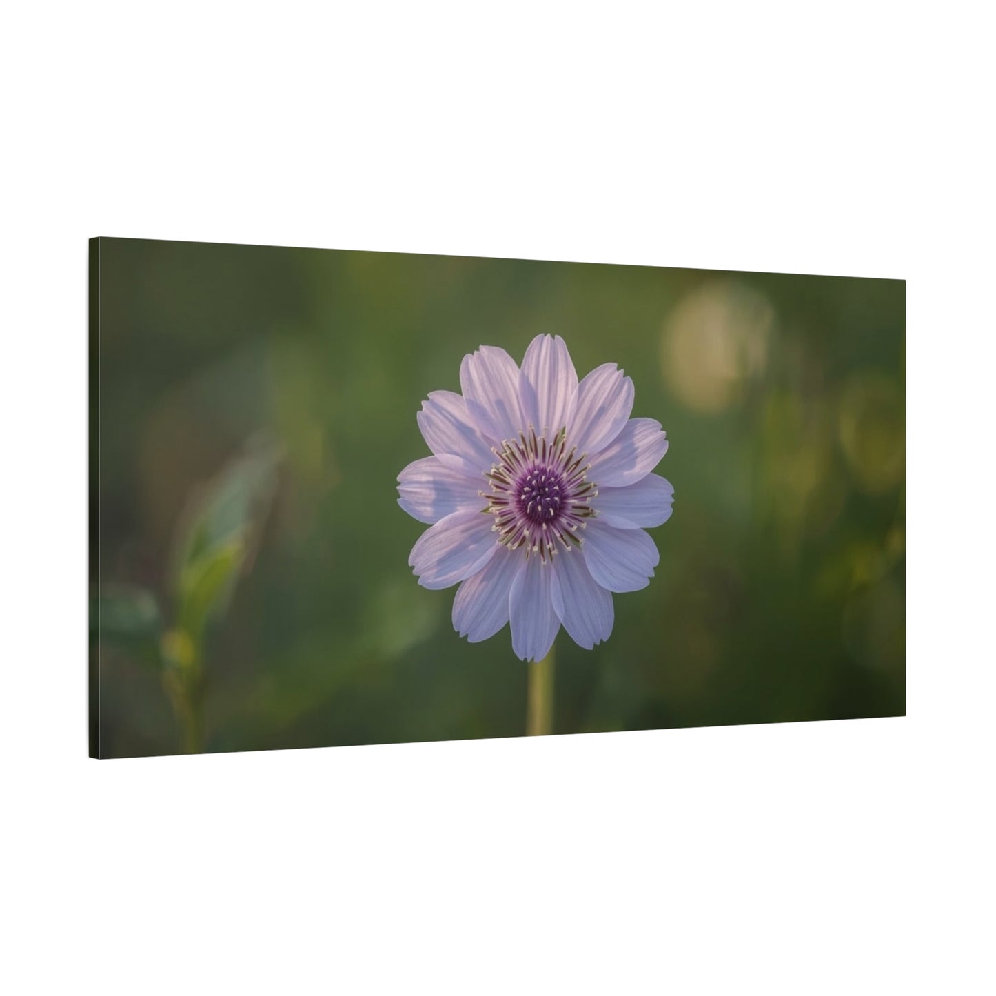 Purple Cosmos Flower Canvas Wall Art - Botanical Floral Art Print, Soft Green Bokeh Background - Matte Cotton Canvas - Contemporary Style, Bedroom Wall Decor, Living Room Accent