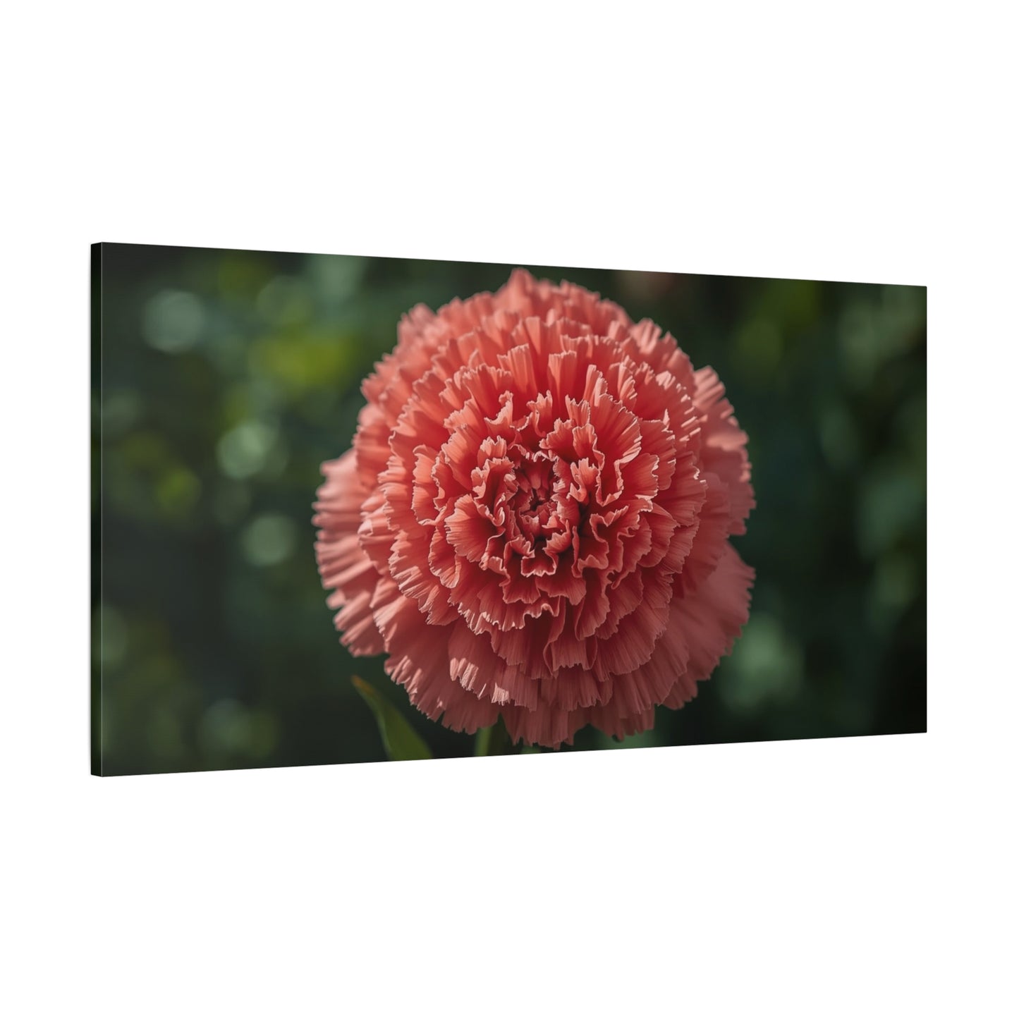 Pink Carnation Canvas Wall Art - Floral Close Up Botanical Print, Soft Focus Garden Art Print - Matte Cotton Canvas - Bedroom Wall Decor, Living Room Home Decoration - Bedroom Home Decoration