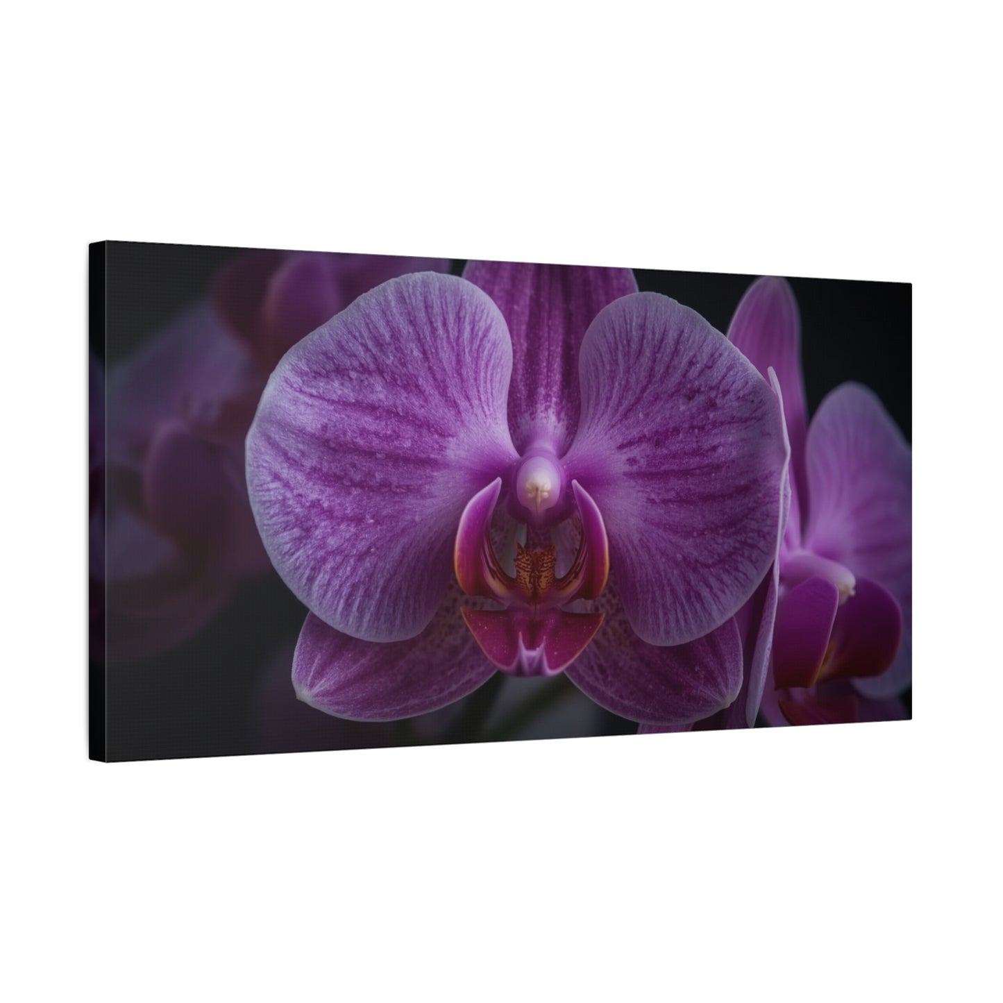 Purple Orchid Canvas Wall Art - Phalaenopsis Flower Macro Floral Print, Botanical Art Print, Cotton Canvas, Contemporary Style - Bedroom Wall Decor, Spa Wall Accent - Bedroom Home Decoration