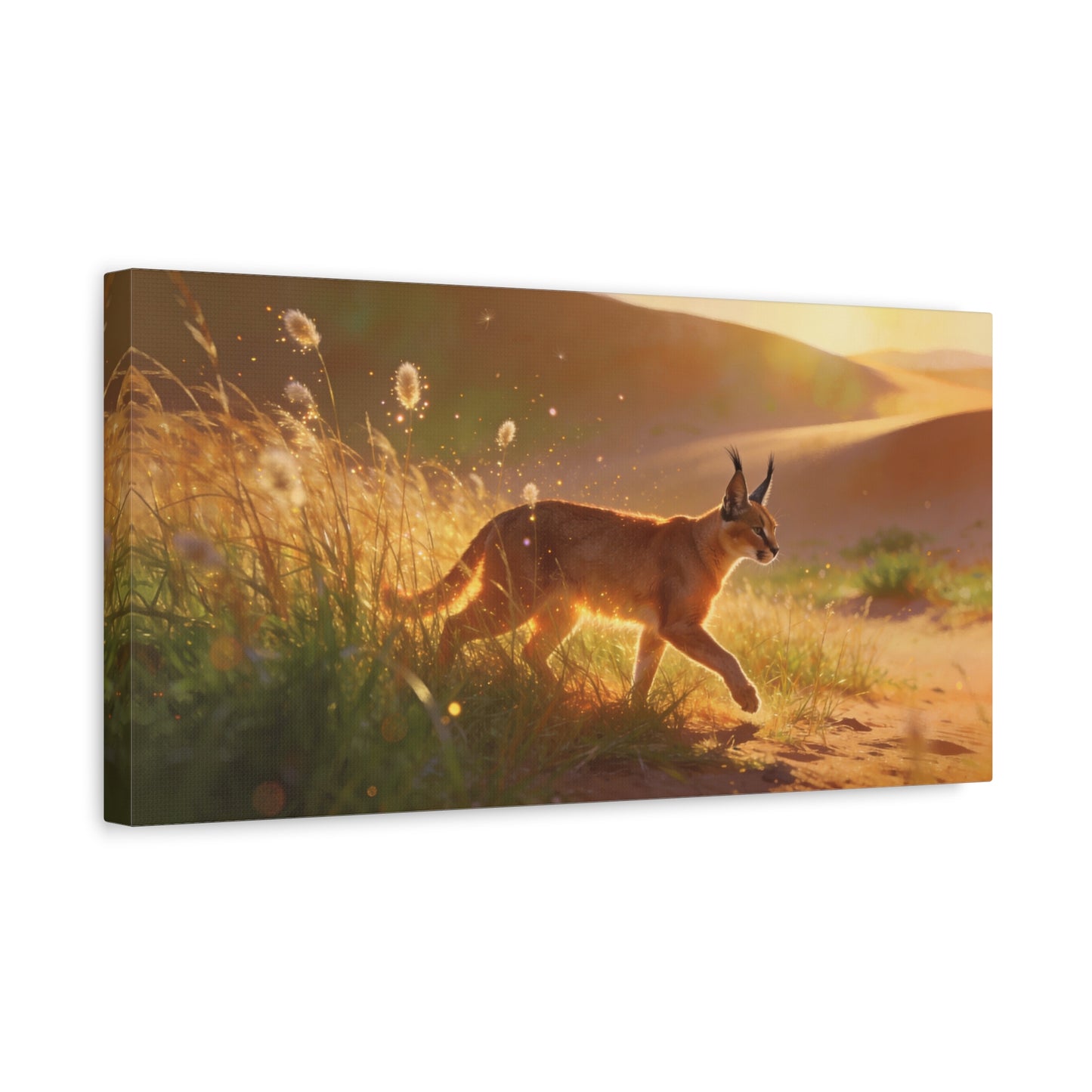 Caracal Canvas Wall Art - Golden Desert Wildlife Scene, Sunlit Grassland Illustration - Matte Cotton Art Print, Contemporary Nature Decor - Living Room Accent, Bedroom Decoration - Ready to Hang