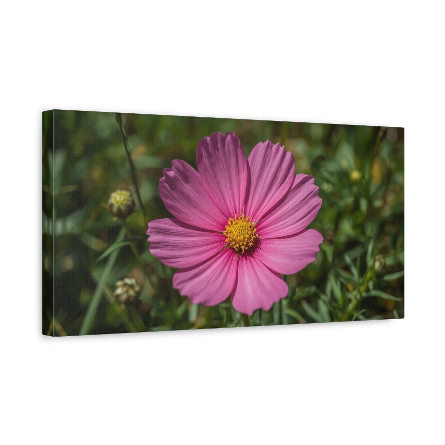 Pink Cosmos Flower Canvas Wall Art - Floral Nature Art Print, Soft Botanical Bloom - Matte Cotton Canvas - Bedroom Wall Decor, Bathroom Home Decoration, Spa Style - Bedroom Home Decoration