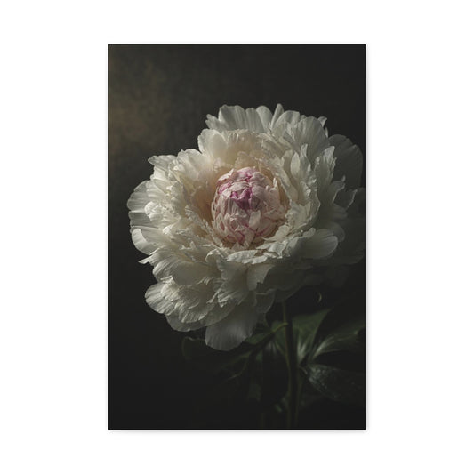 White Peony Canvas Wall Art - Moody Floral Art Print, Dark Botanical Canvas, Matte Finish - Vintage Style, Bedroom Wall Decor, Living Room Home Decoration Accent - Bedroom Home Decoration