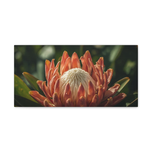 Protea Flower Canvas Wall Art - Botanical Floral Close Up, Soft Golden Light - Matte Cotton Print, Contemporary Style - Bedroom Decoration, Living Room Accent, Spa Wall Decor - Bedroom Home Decoration