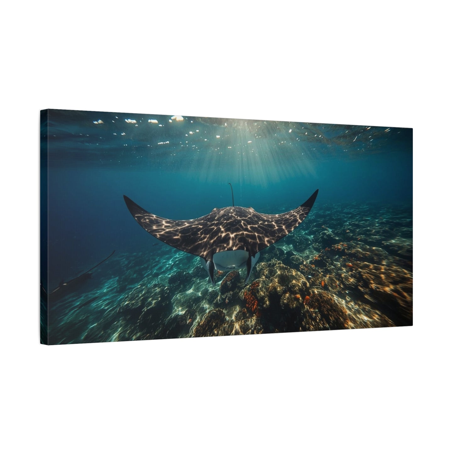 Manta Ray Canvas Wall Art - Underwater Ocean Art Print, Blue Coral Reef Seascape - Matte Cotton Canvas Print - Coastal Wall Decor, Living Room Home Decoration, Office Art - Bedroom Home Decoration