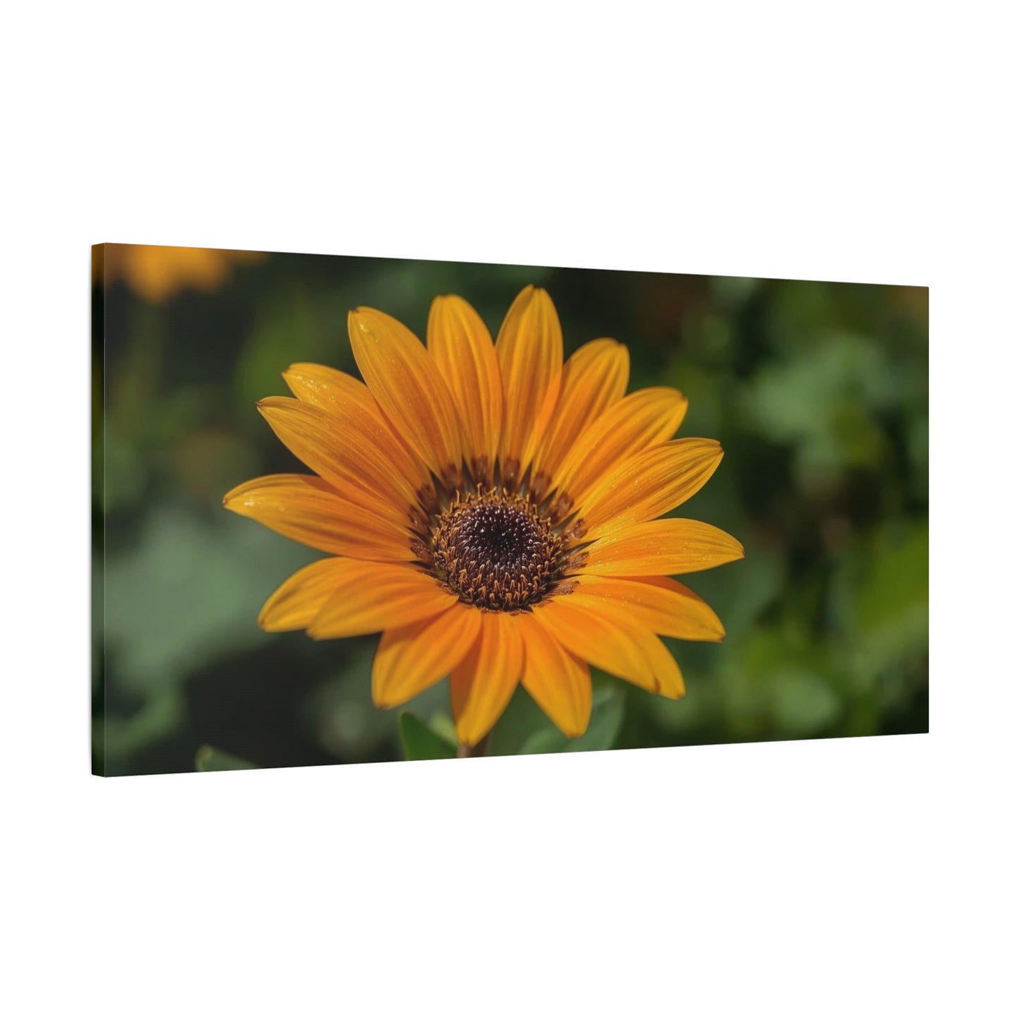 Orange Daisy Flower Canvas Wall Art - Botanical Floral Close Up Art Print, Nature Home Decor - Matte Cotton Canvas, Contemporary Style - Living Room Wall Decor Bedroom Accent - Cozy Reading Nook Art
