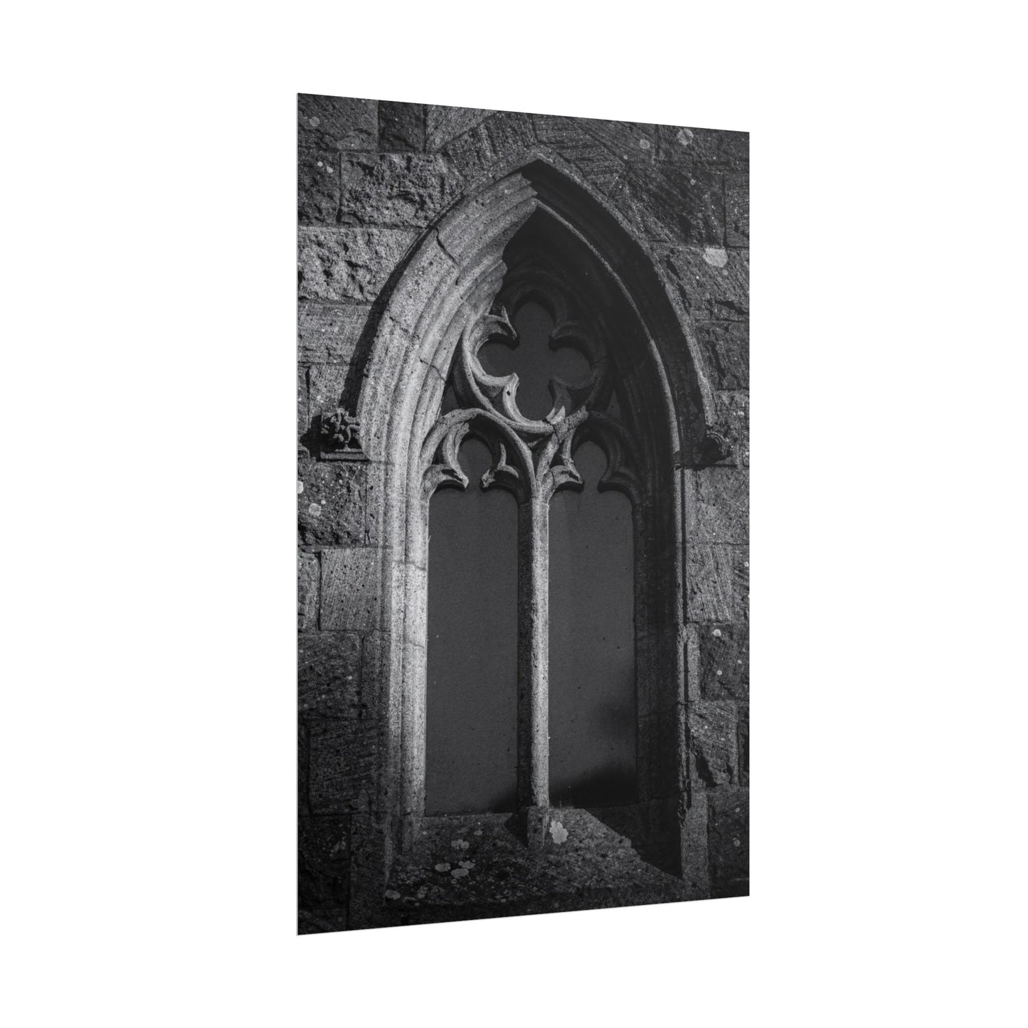 Flux Pro 2.0 Professional Black And White Photography O 6e9b9988 — Poster