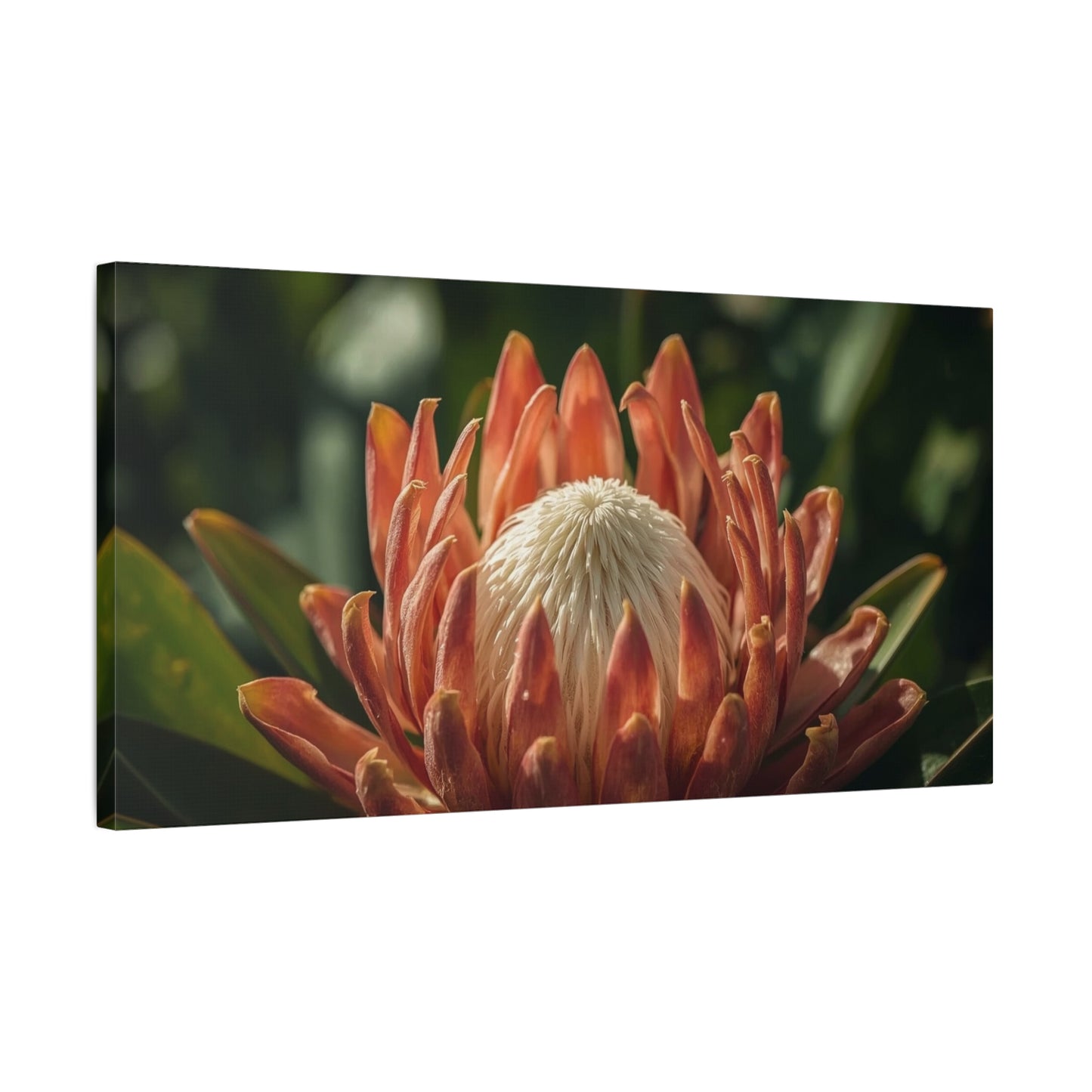 Protea Flower Canvas Wall Art - Botanical Floral Close Up, Soft Golden Light - Matte Cotton Print, Contemporary Style - Bedroom Decoration, Living Room Accent, Spa Wall Decor - Bedroom Home Decoration