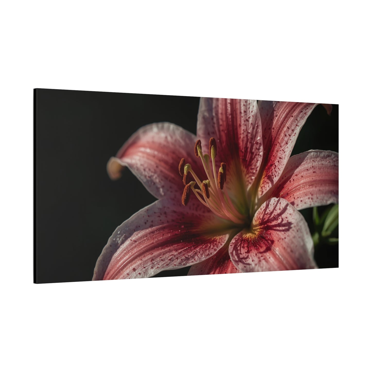 Pink Stargazer Lily Canvas Wall Art - Floral Macro Art Print, Dark Botanical Canvas Print - Matte Cotton Decor, Contemporary Style - Bedroom Wall Accent, Living Room Decoration - Ready to Hang