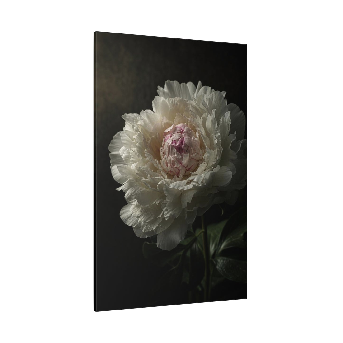 White Peony Canvas Wall Art - Moody Floral Art Print, Dark Botanical Canvas, Matte Finish - Vintage Style, Bedroom Wall Decor, Living Room Home Decoration Accent - Bedroom Home Decoration