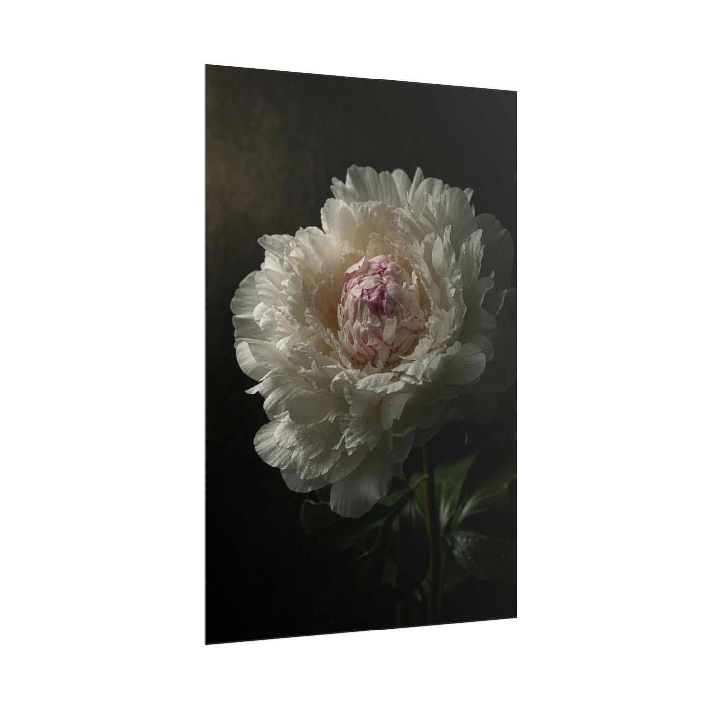 Gpt Image 2 Hyper Realistic Fine Art Botanical Photogra D91de5c6 — Poster