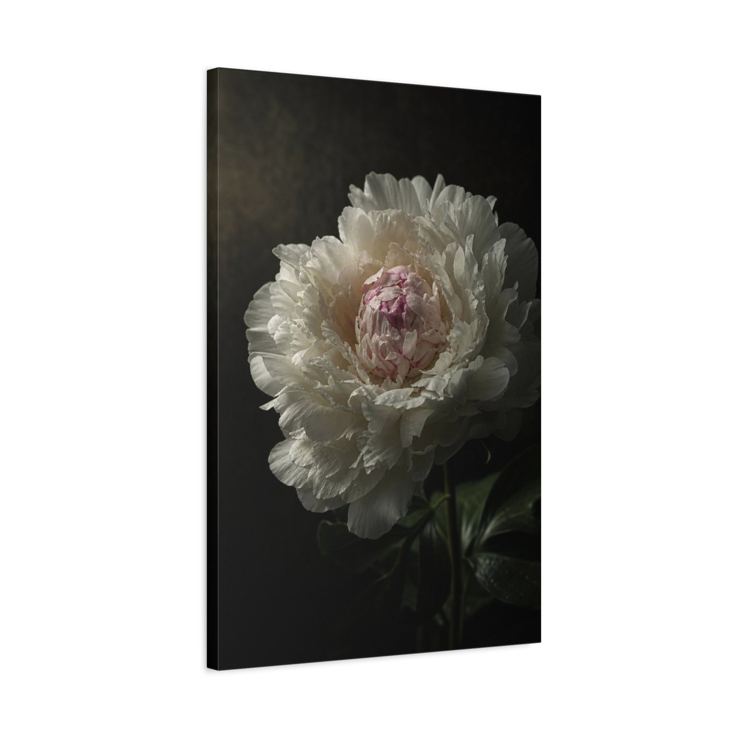 White Peony Canvas Wall Art - Moody Floral Art Print, Dark Botanical Canvas, Matte Finish - Vintage Style, Bedroom Wall Decor, Living Room Home Decoration Accent - Bedroom Home Decoration
