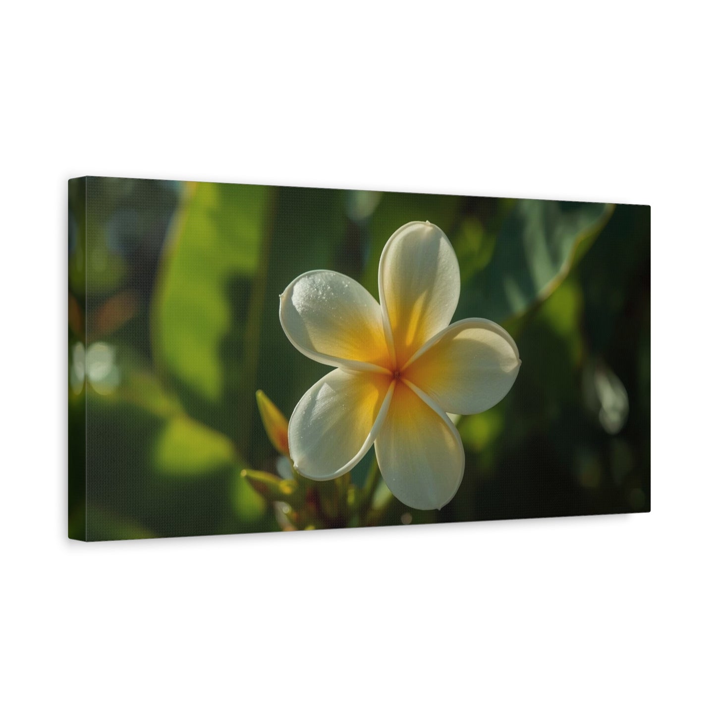 Plumeria Flower Canvas Wall Art - Tropical Floral Art Print, Soft Golden Light - Matte Cotton Art Print - Coastal Style, Bedroom Decoration, Bathroom Accent, Spa Inspired Decor - Ready to Hang