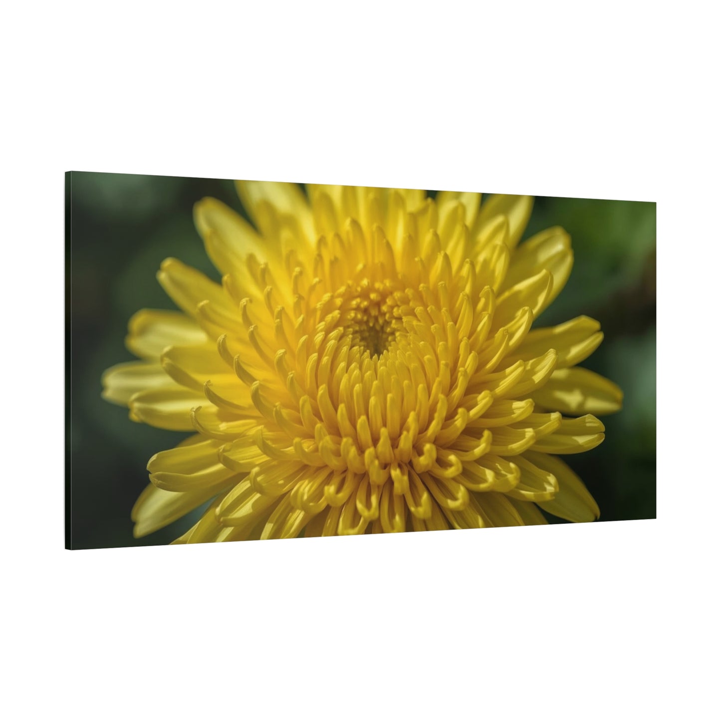 Yellow Chrysanthemum Canvas Wall Art - Floral Macro Art Print, Botanical Canvas Print - Modern Matte Decor, Bedroom Wall Accent, Living Room Home Decoration Office Art - Bedroom Home Decoration